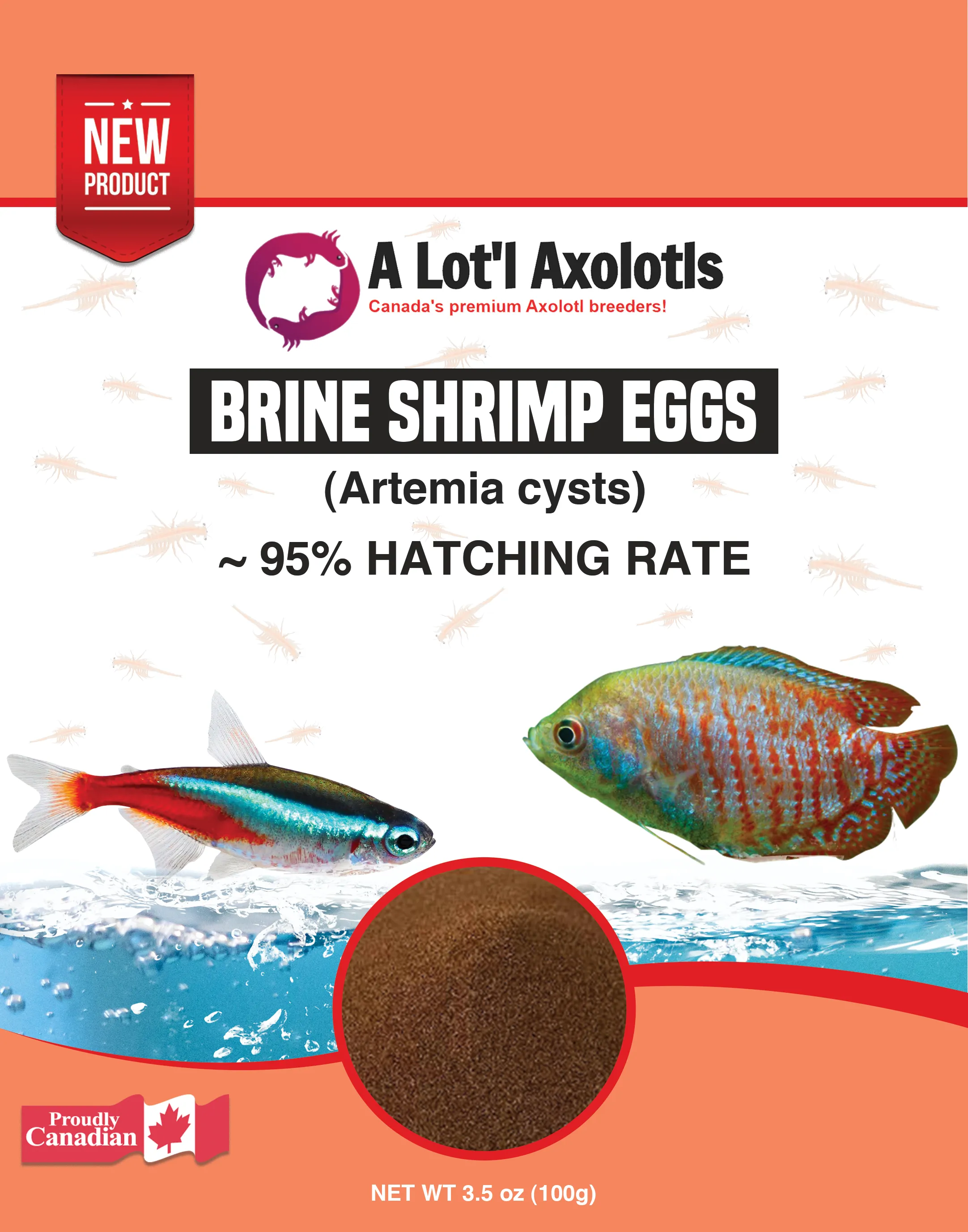 Brine Shrimp Eggs